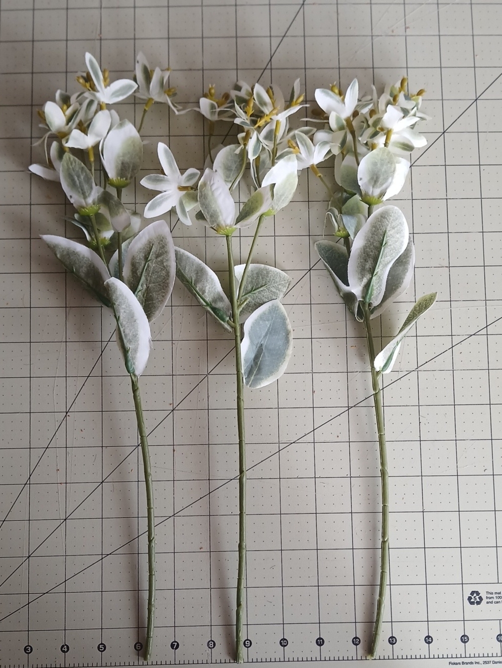 "Snow On The Mountain" Stems - Set Of 3